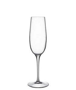 Palace Champagne Flute - Set of 6