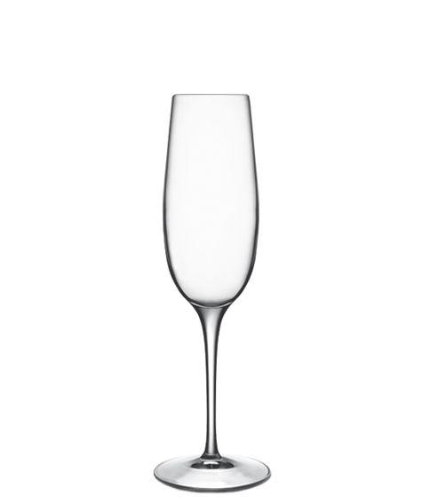 Palace Champagne Flute - Set of 6