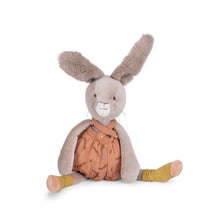 Load image into Gallery viewer, Moulin Roty Clay rabbit Trois Petits Lapins
