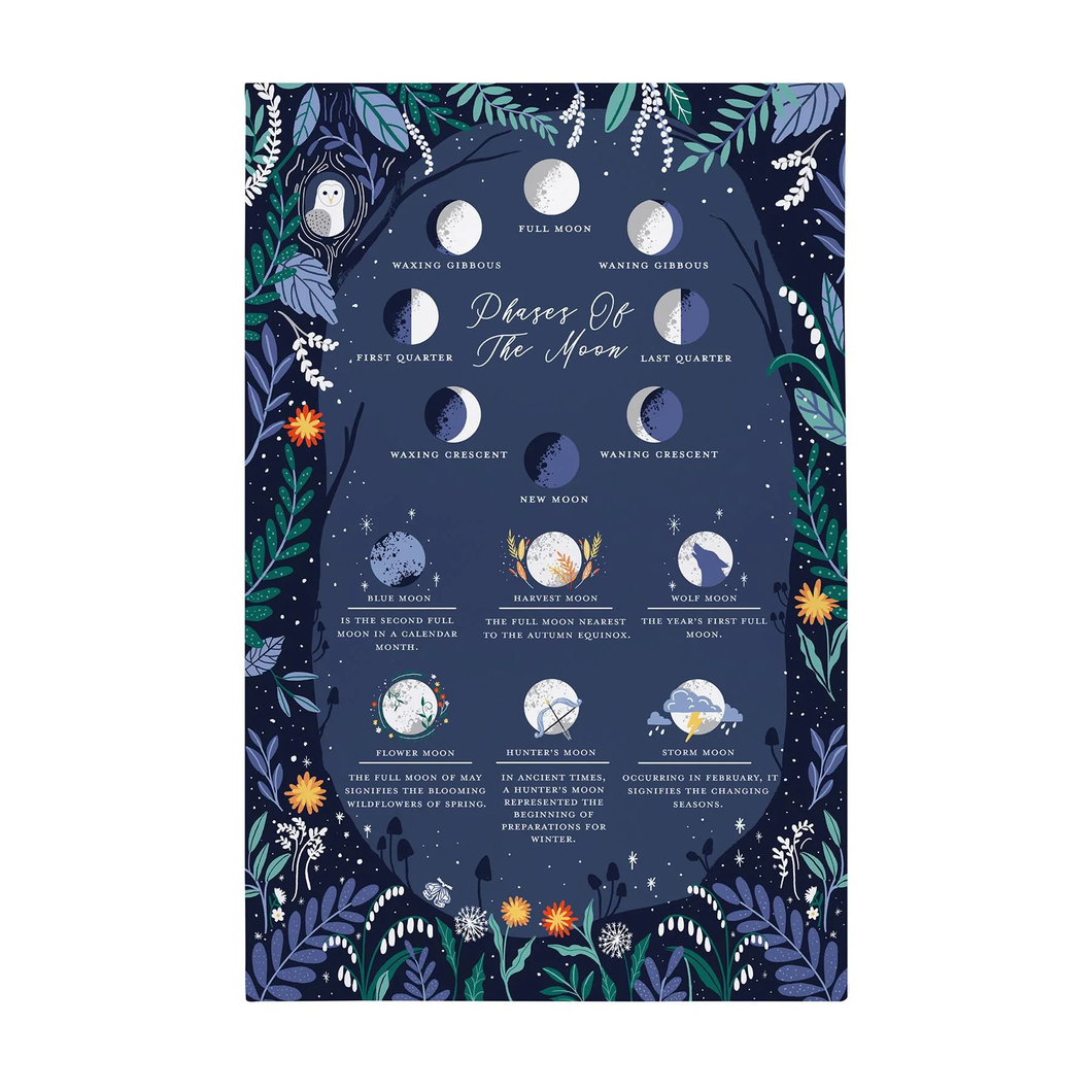 Ulster Weavers Cotton Tea Towel - Phases of the Moon