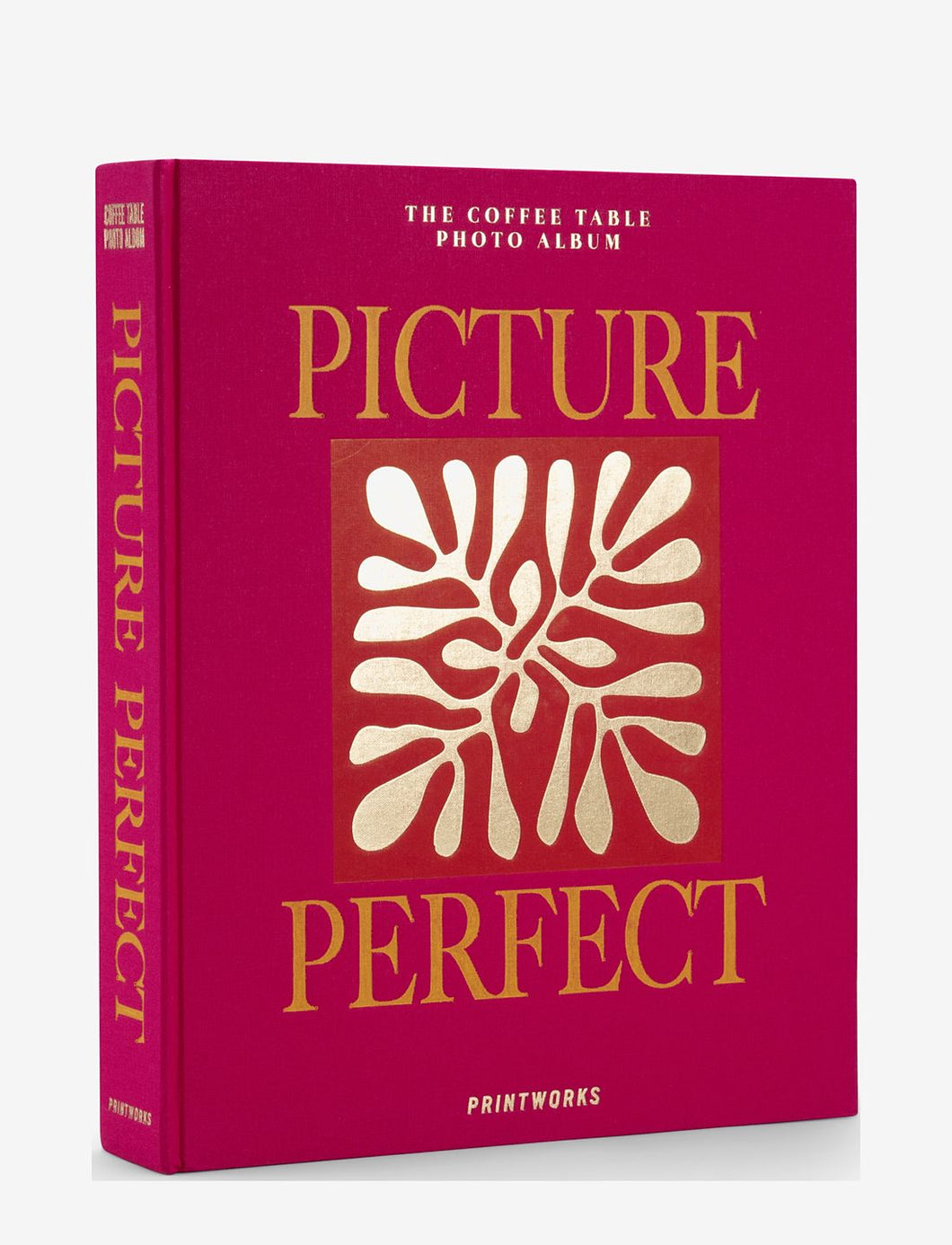 Photo Album - Picture Perfect