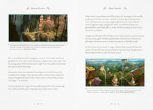 Load image into Gallery viewer, Disney Encanto Hardback Book
